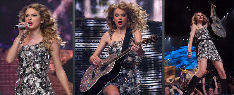 Taylor Swift Fearless Tour concert photos