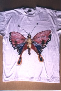 ...A Buttefly and a Dream"